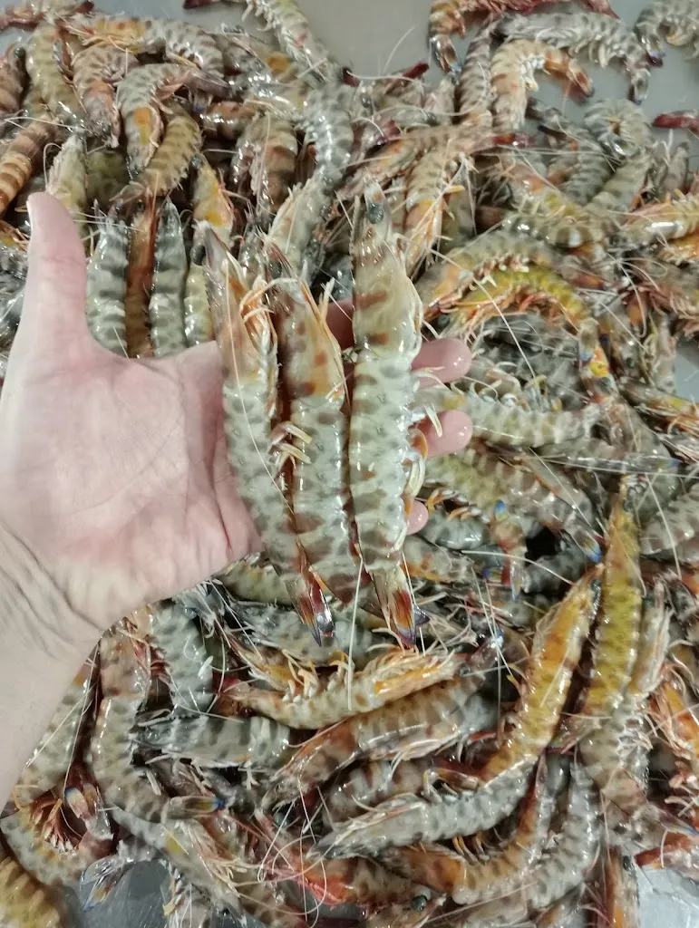 Cocedero de mariscos el tali_Lepe_slider_image_2