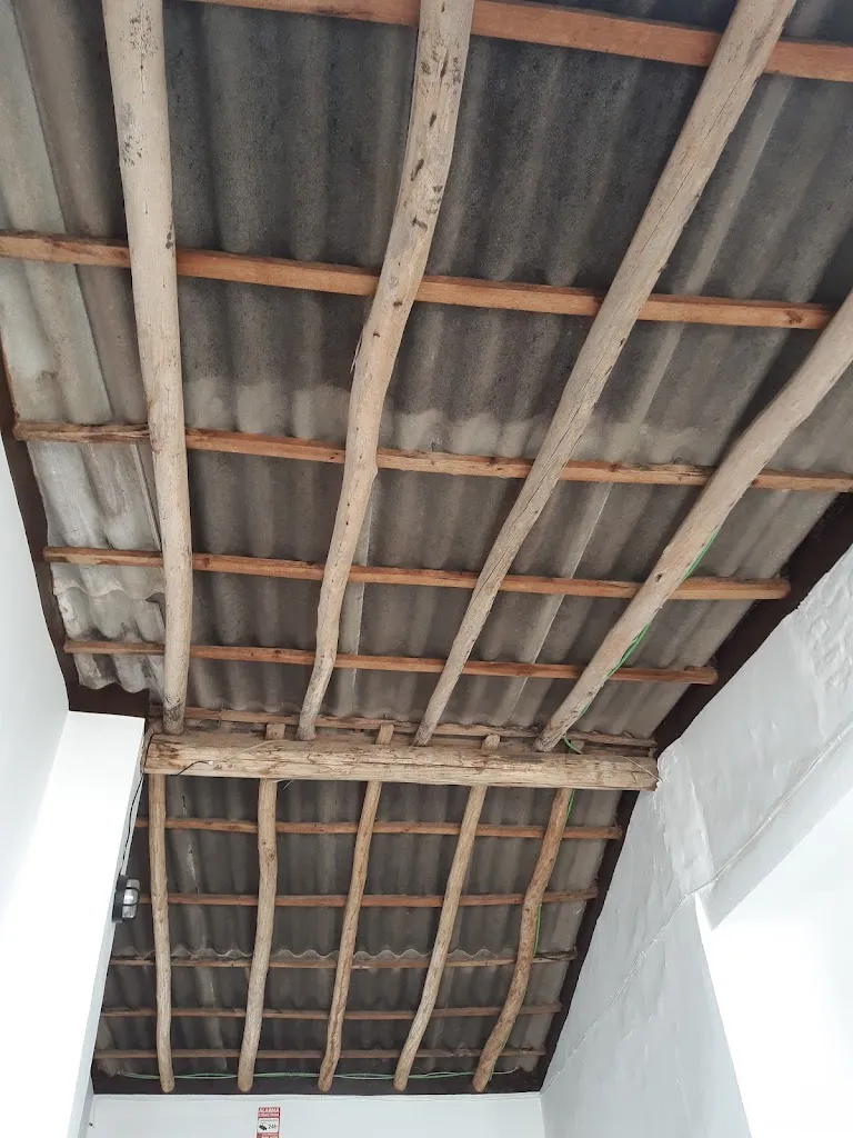 pepe pio Ariza_Zampuzo Romera_Lepe_review