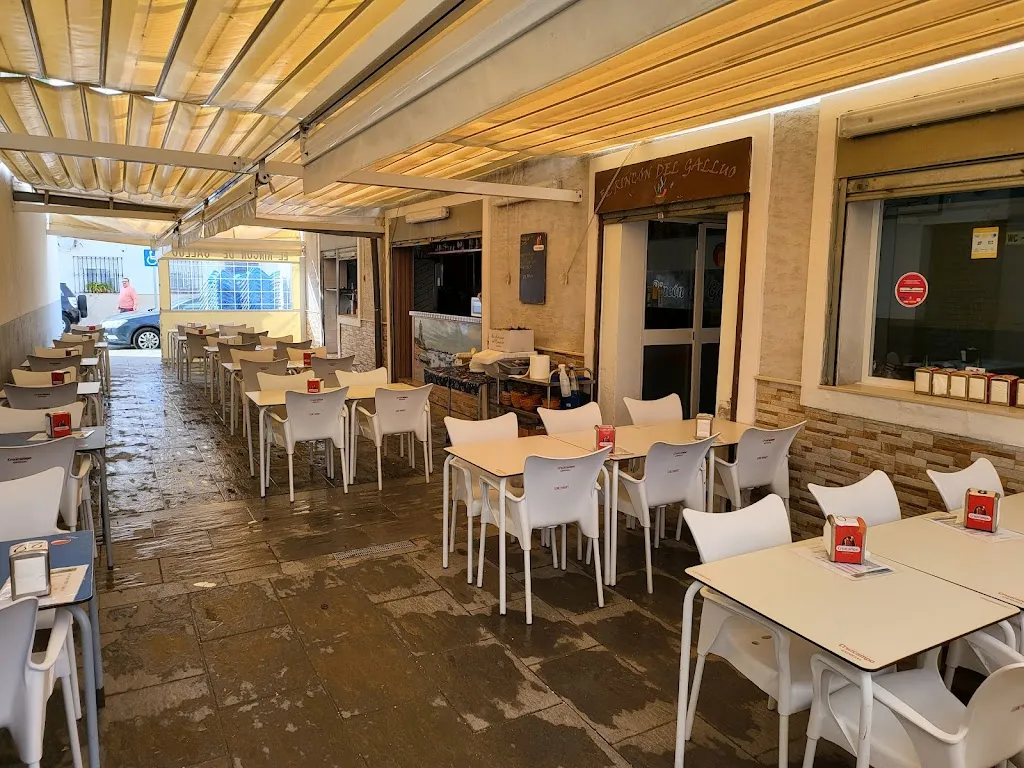 Wim Colle_Bar El Rincón del Gallúo_Isla Cristina_review