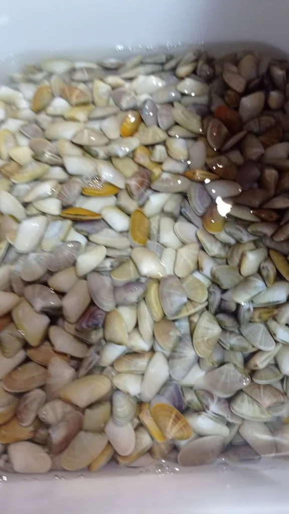 Menu_Bar Pensión El gallego_Rosal de la Frontera_image_1