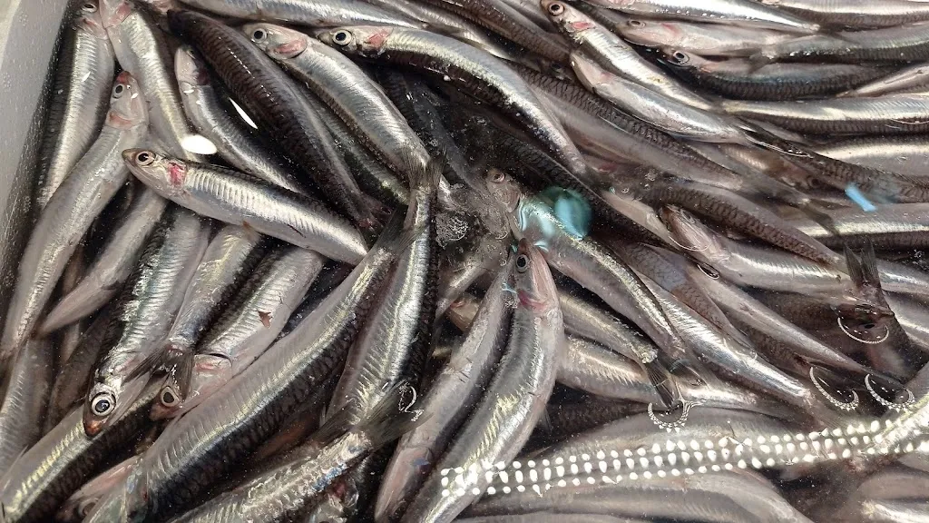 Menu_Bar Pensión El gallego_Rosal de la Frontera_image_5