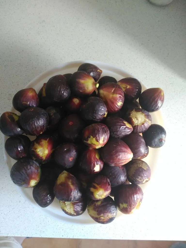 Menu_Bar-Salon Frontera_Rosal de la Frontera_image_8