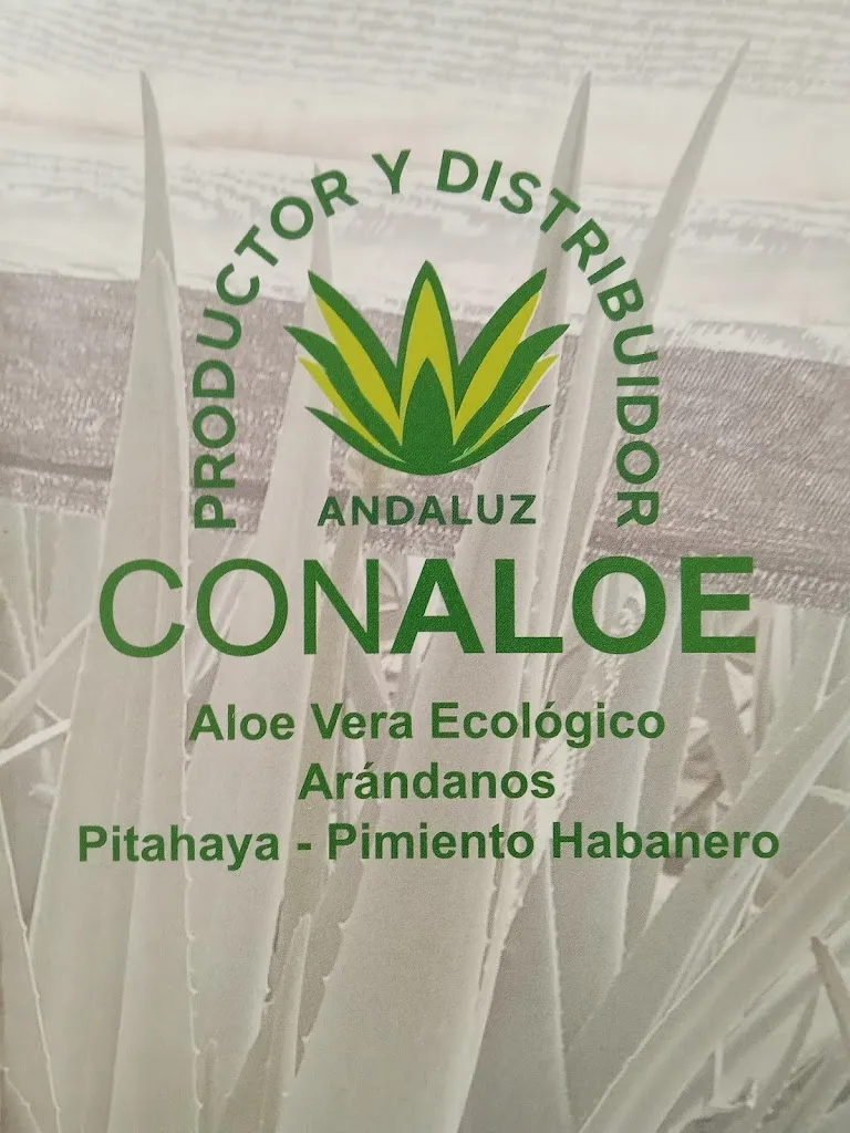 Antonio cayetano Rodriguez_Restaurante Monteluna_Rociana del Condado_review