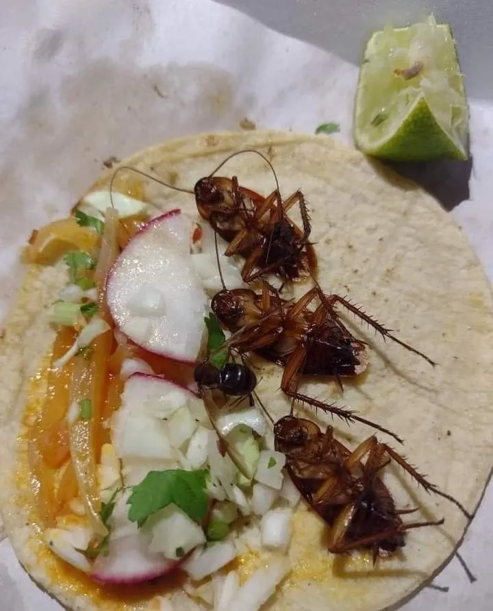 Vanguardia FiveM Cosmetics_LOS SABORES DE LA TRINI_Rociana del Condado_review