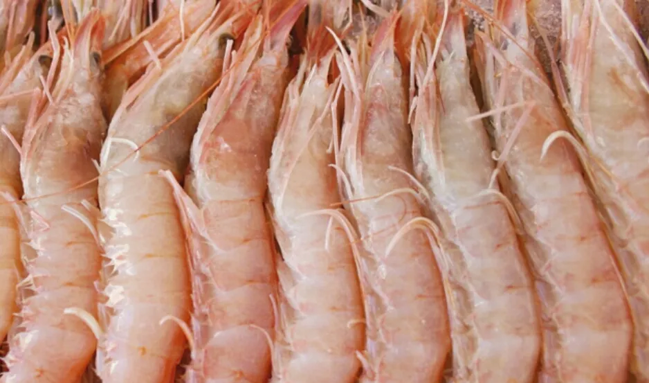 Menu_Marisquería Los Migueles_Punta Umbría_image_6