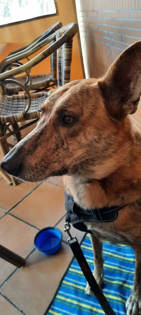 Stephen Spencer_BAR NUEVO RESTAURANTE_Villablanca_review