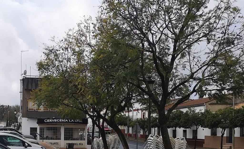 Dragomir Angeloff_Restaurante Cerveceria la Kña_Valverde del Camino_Bewertung