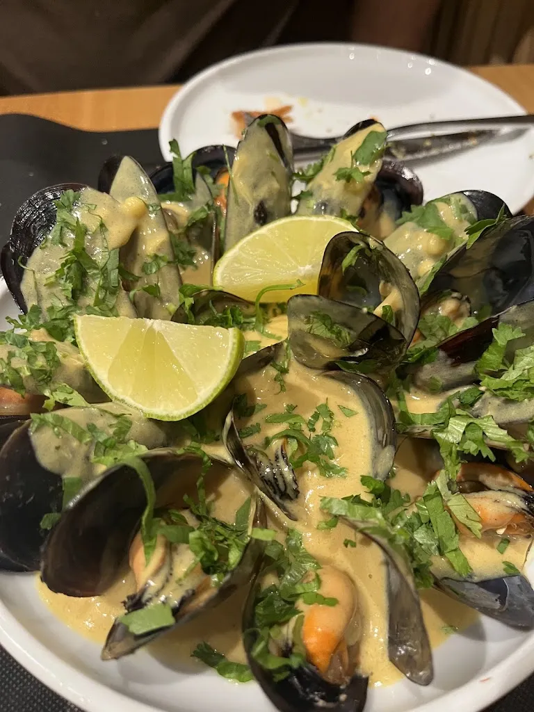 Yalda_Alto Bardero_Albero Alto_review