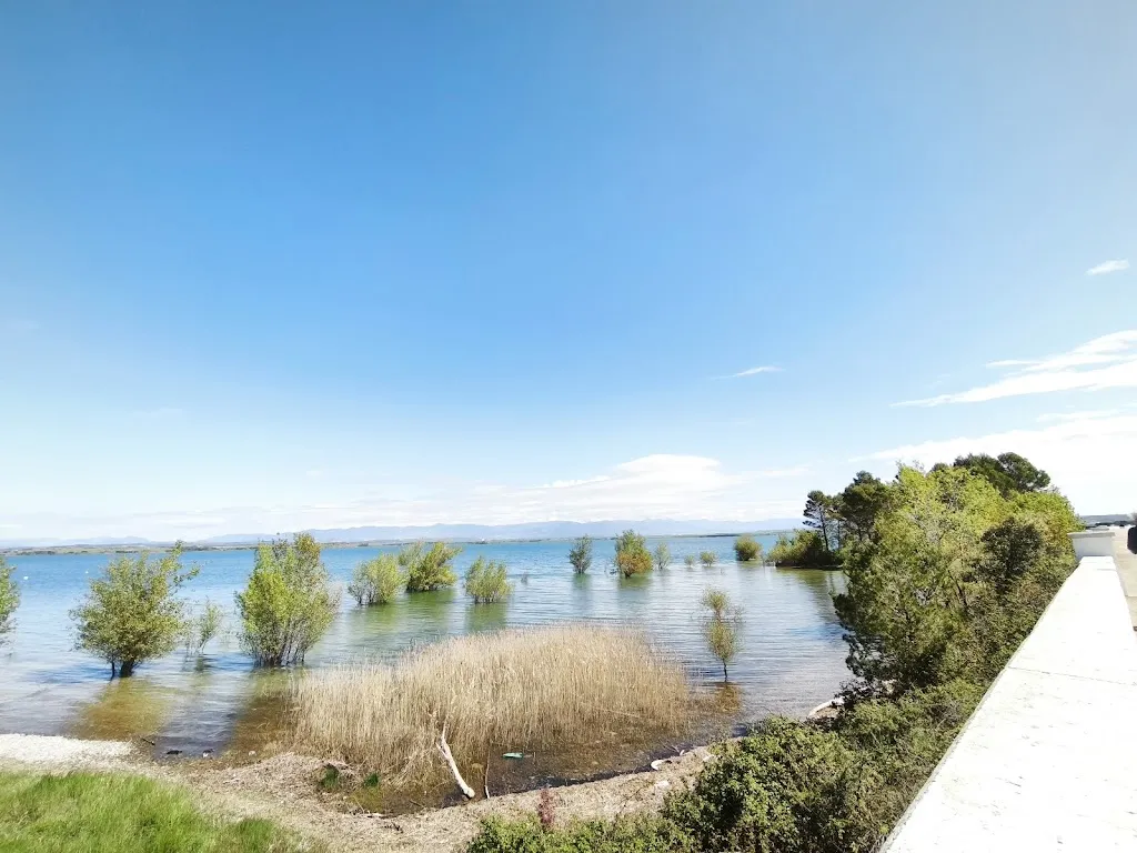 Restaurante AAMD La Sotonera_Alcalá de Gurrea_slider_image_3