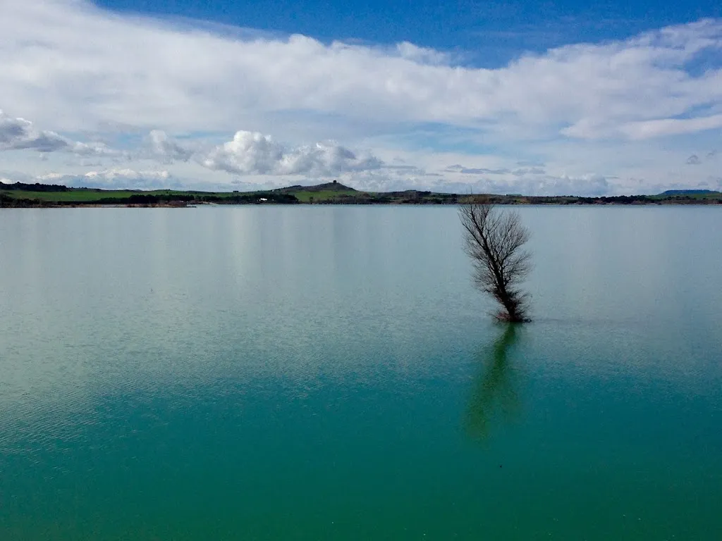 La Sotonera restaurant in Alcalá de Gurrea