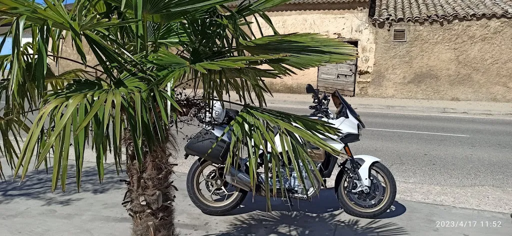 Nicole Redinier_Restaurante El Carmen_Albalatillo_review