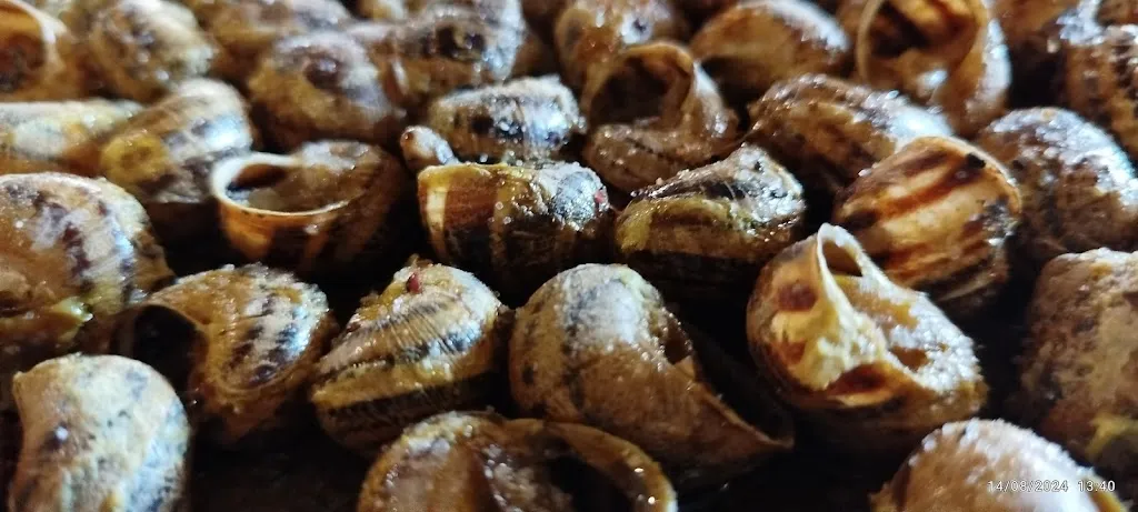 Menu_Restaurante Monegros_Albalatillo_image_6