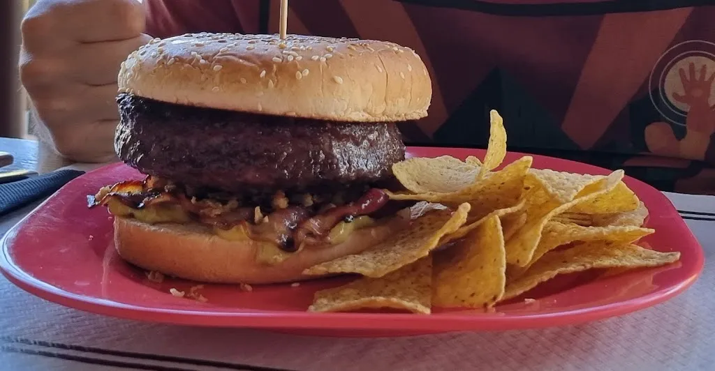 Francine 't Hoen_Asador Zabrín_Aínsa_review