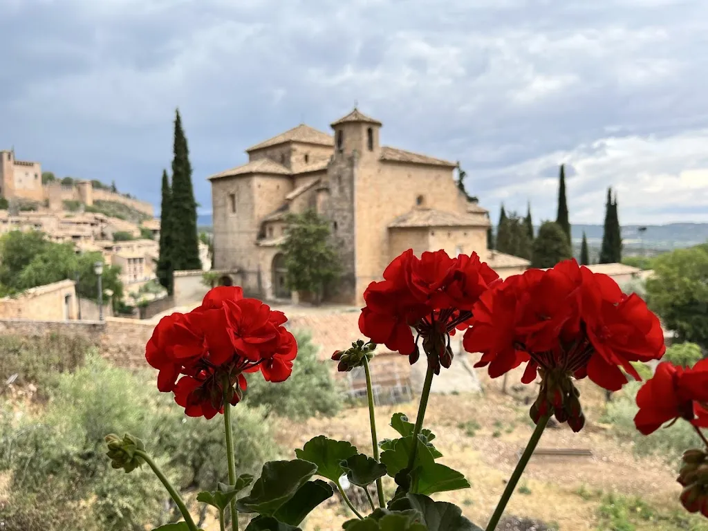 Tamás Flucsa Major_Brasería Mesón del Vero | Alquézar_Alquézar_review