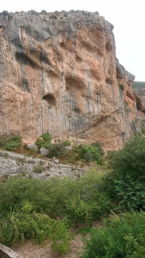 Panadería L'Artica de Alquezar_Alquézar_slider_image_2