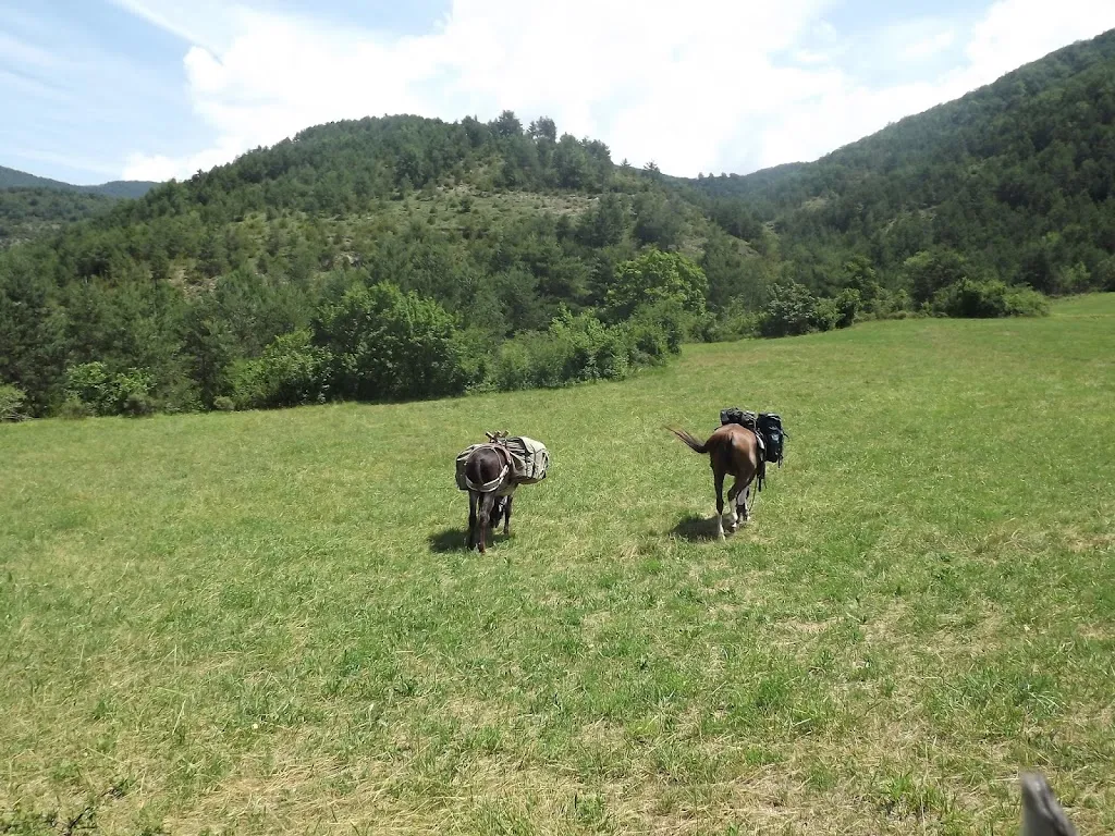 caballosdelpirineo villanovilla_Hostal Borda Miguel_Aragüés del Puerto_review