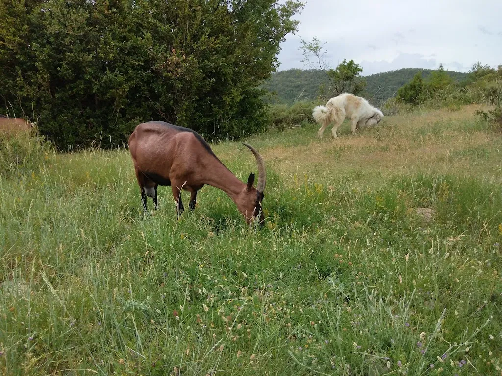 Bajo el Roble_Aragüés del Puerto_slider_image_1
