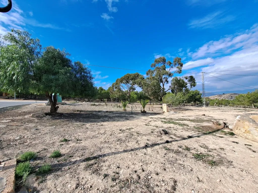 Daniel Madrid Quinto_Zona de Ocio La Pedrera_Bigastro_review