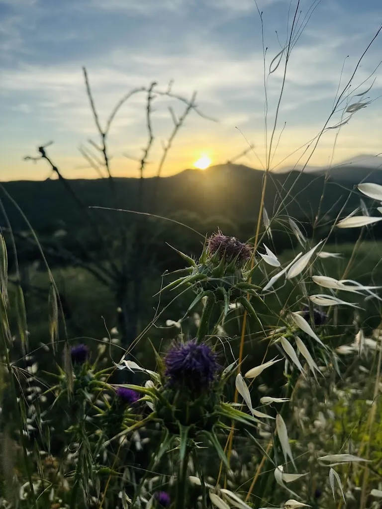 Anthony Boeuf_Casa Atuel_Bierge_recensione