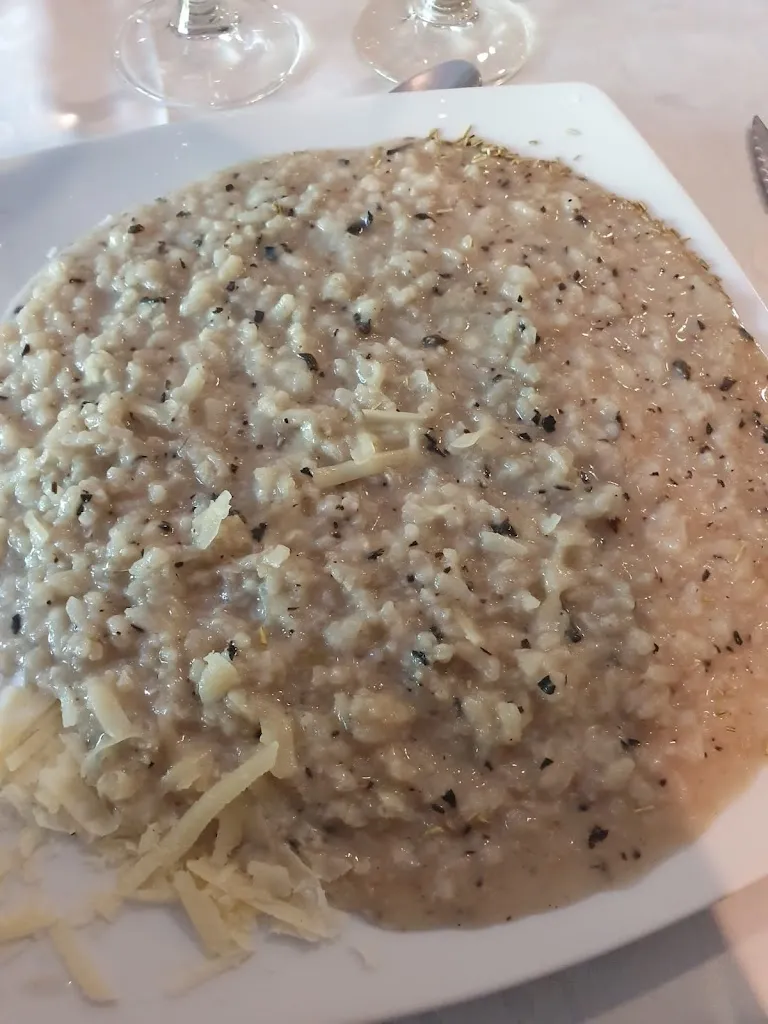 Marko_Casa Javier_Bisaurri_review