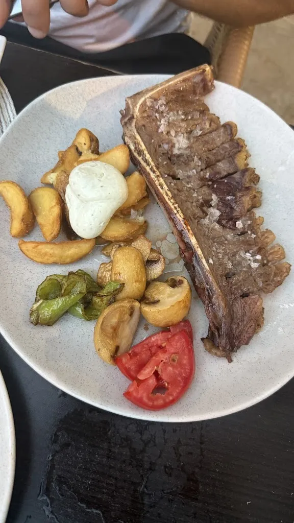 Karchix -_La Nueva Barrica_Barbastro_avis