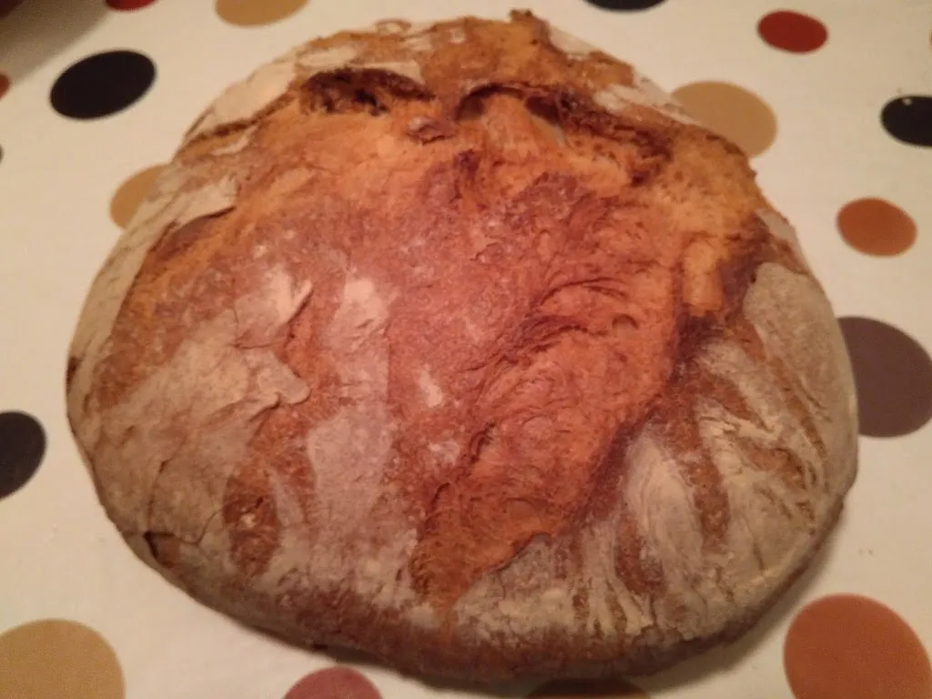 Menu_Fundacion Crisalida_Camporrells_image_8