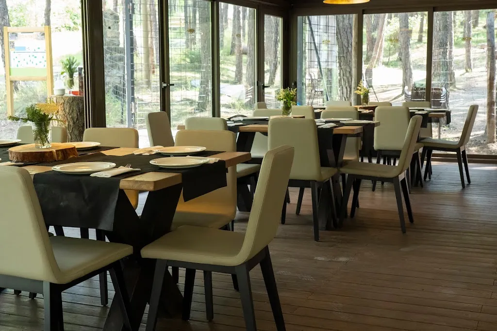 La Terraza de Arratiecho restaurant in Biescas