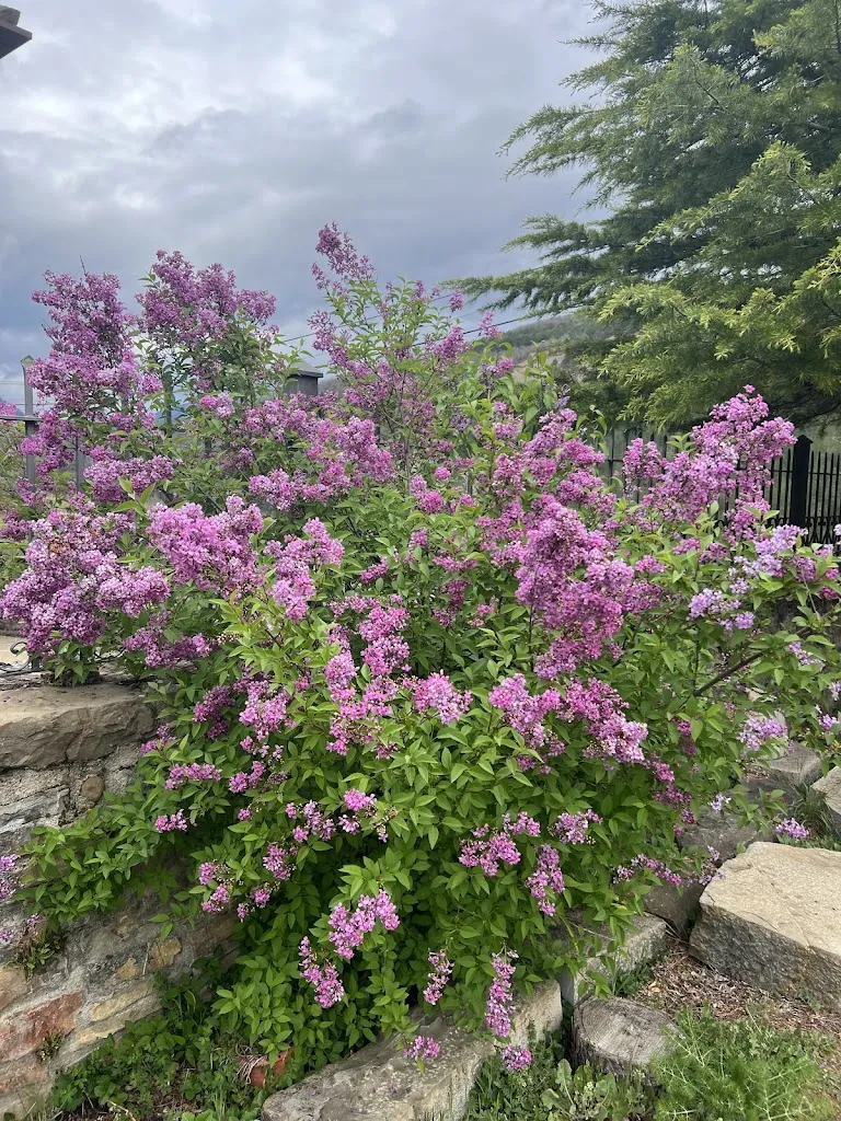 Dalianys Machado_EL MESÓN DE CASTIELLO_Castiello de Jaca_review