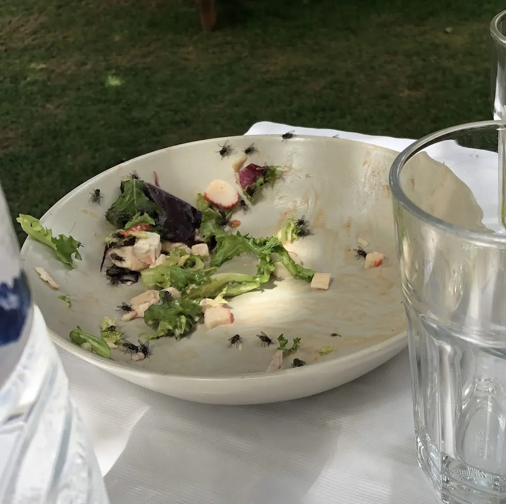 Menu_Restaurante Pájaro Loco_Castejón de Sos_immagine_8