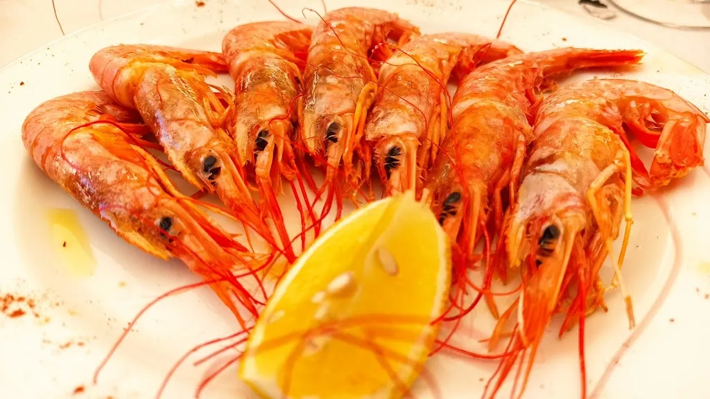 Menu_Bar Plaza_Benasque_image_6