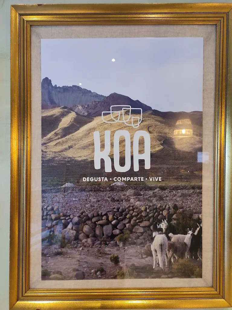 Alejandro Campos_Koa Benas_Benasque_review