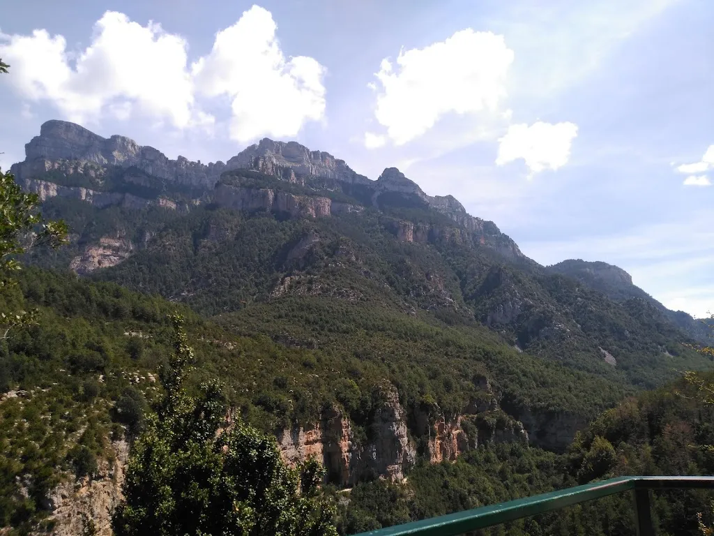 Rosa Fono_Fanlo Merendero_Fanlo_review