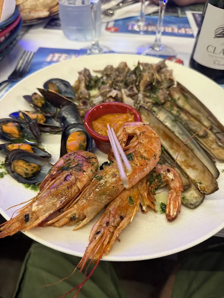 Antti Kuitto_Ficus&Persica_Fraga_review