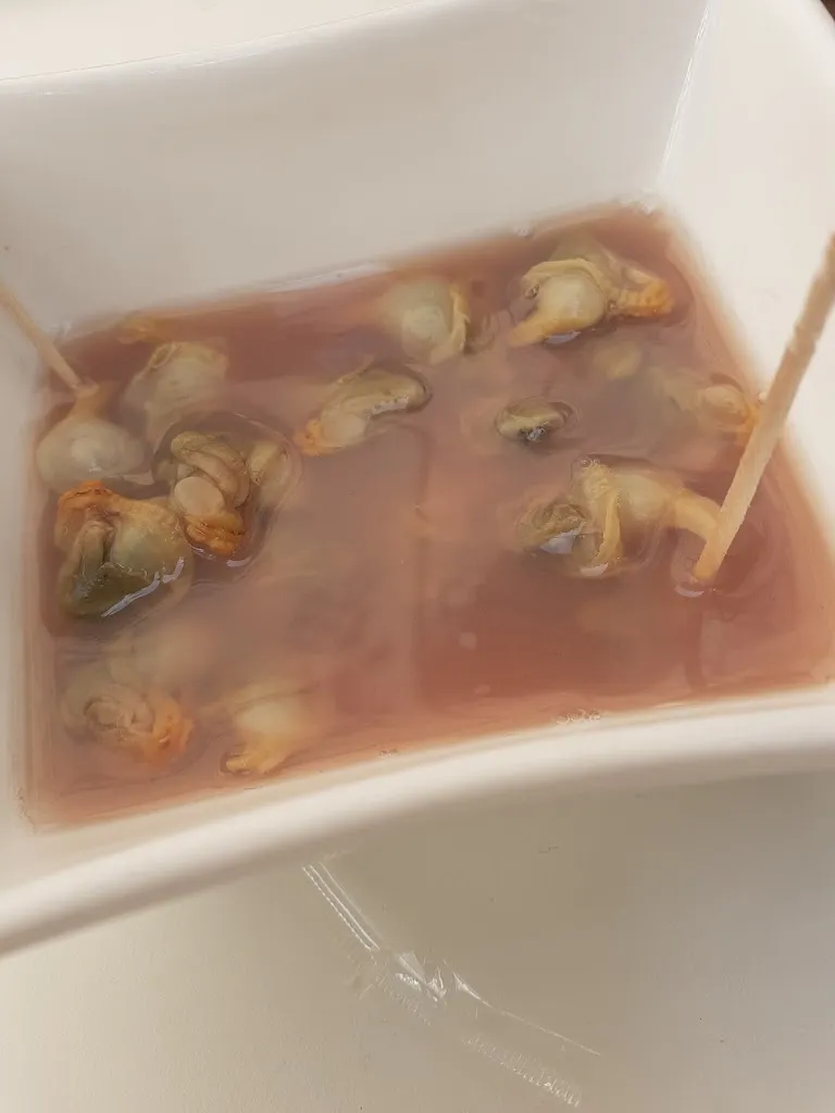 Menu_Restaurante El Mirador_Hoz de Jaca_image_4