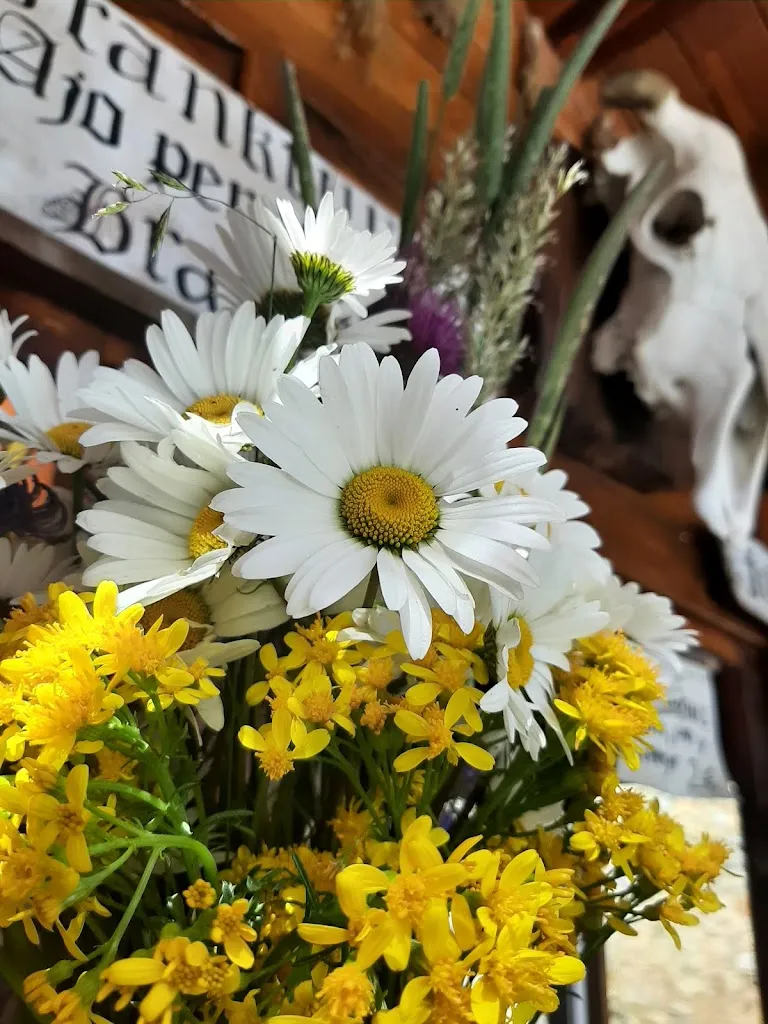 Chiringuito de Hoz_Hoz de Jaca_slider_image_3