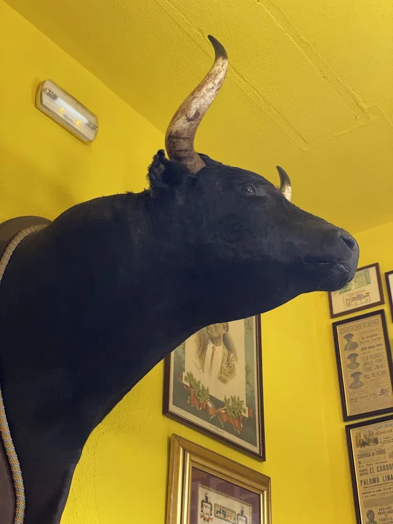 Christine Faith Gumalal_Casa Jacinto_Jasa_recensione