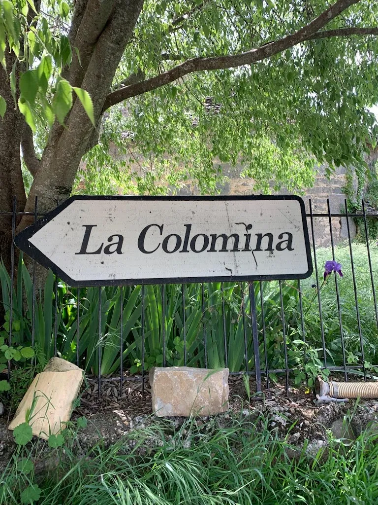 David Rodríguez Diez_La Colomina_Isábena_review