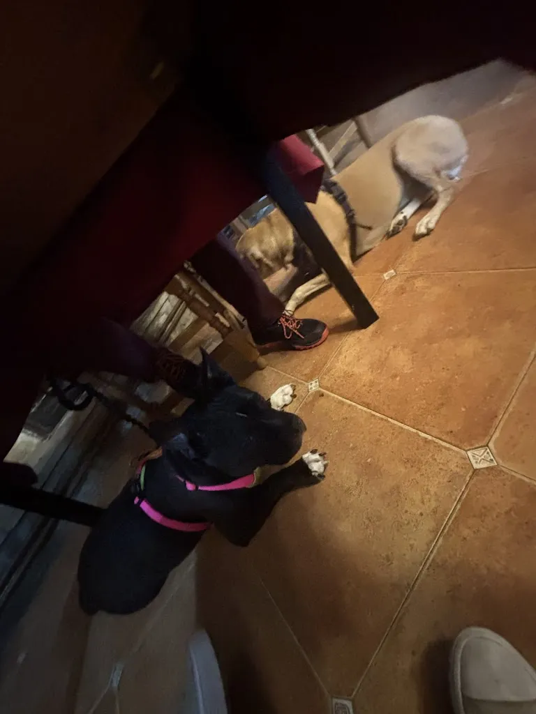 Cristina Fernandez_La Colomina_Isábena_review