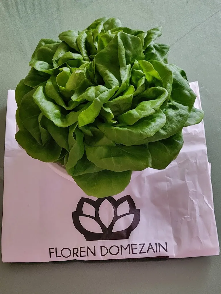 Menu_El Huerto de Floren Domezain_Huerto_image_6