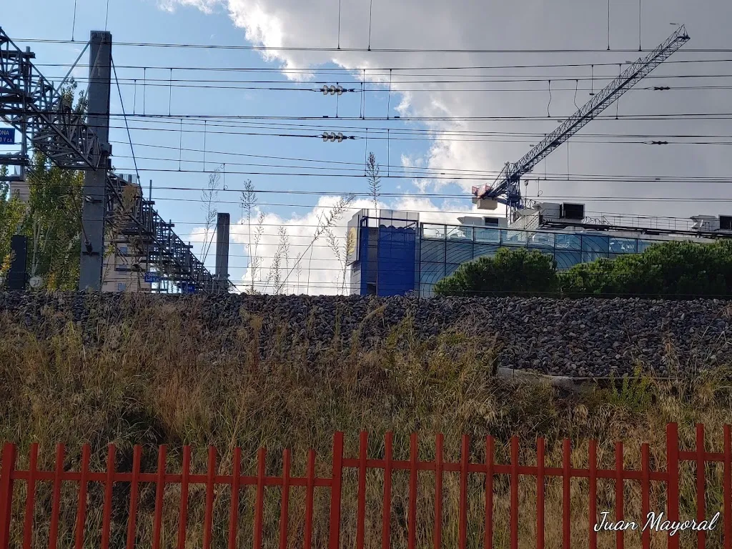 Juan Mayoral_Huerto Urbano Adelfas_Huerto_review