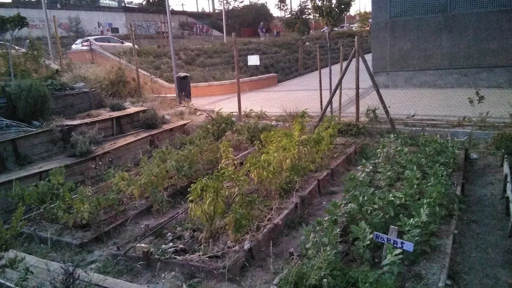 Huerto Urbano Adelfas_Huerto_slider_image_1