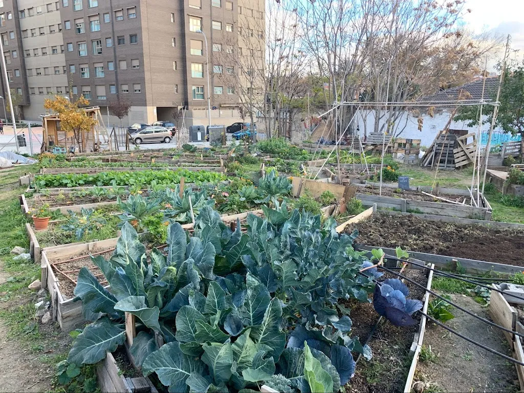 Huerto Urbano Adelfas_Huerto_slider_image_3