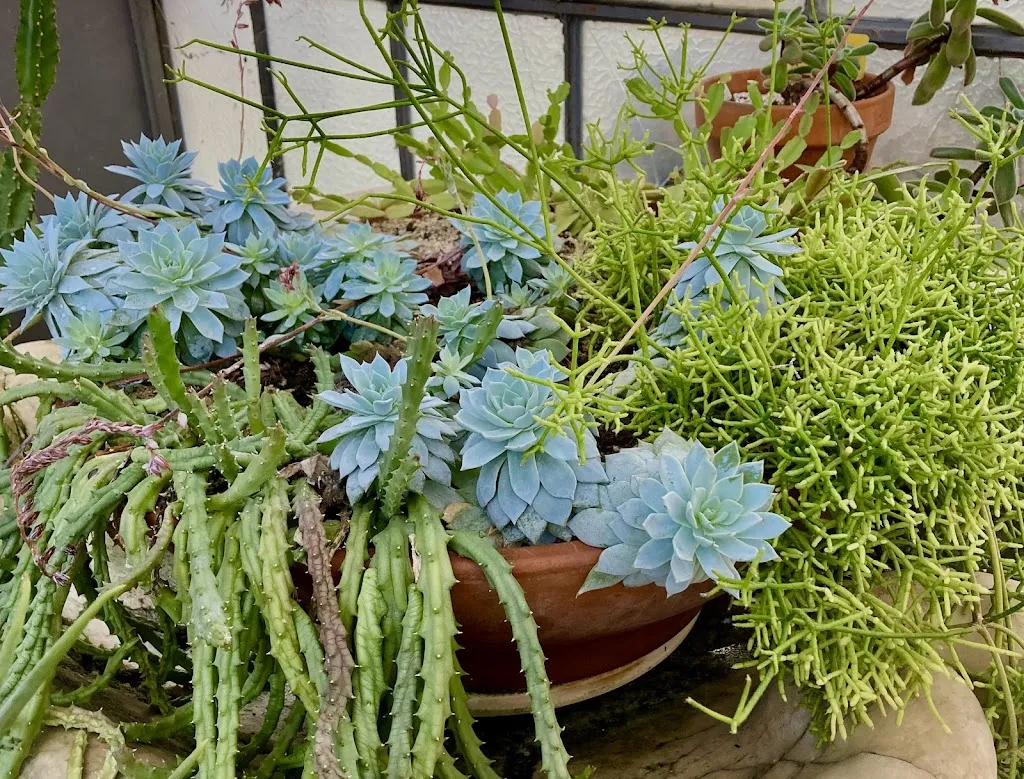 Nieves Gutierrez_El Huerto del Retiro_Huerto_review