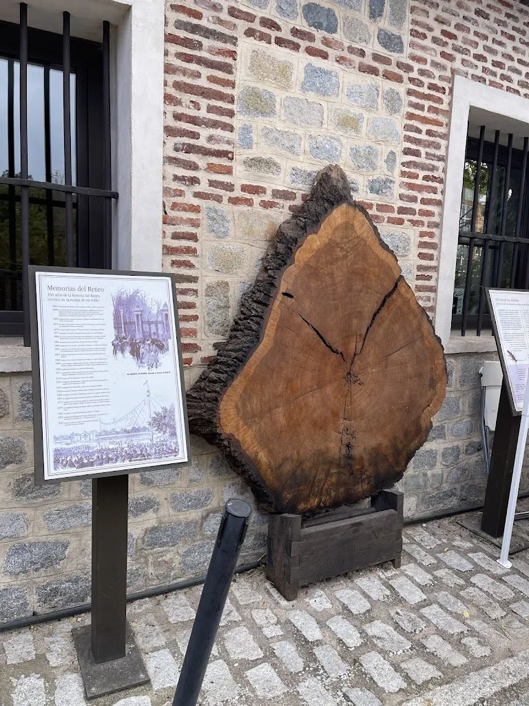 Qin CHEN_El Huerto del Retiro_Huerto_review