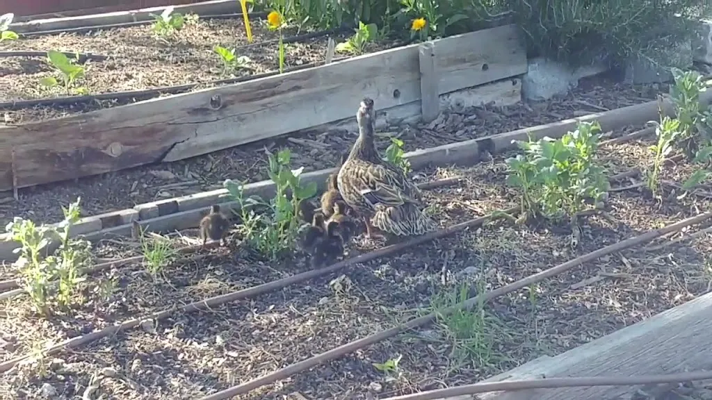 El Huerto del Retiro_Huerto_slider_image_2