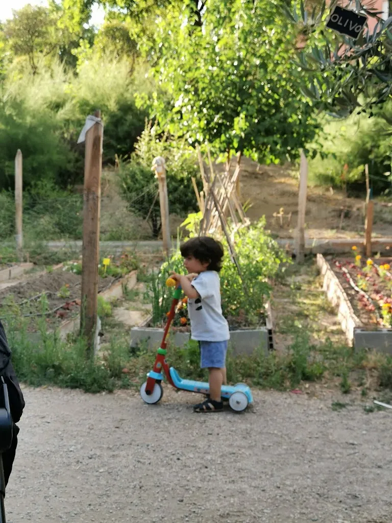 Huerto La Revoltosa_Huerto_slider_image_2