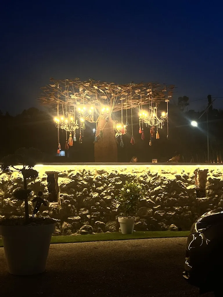 dominika korona_El Cañis_Benissa_review