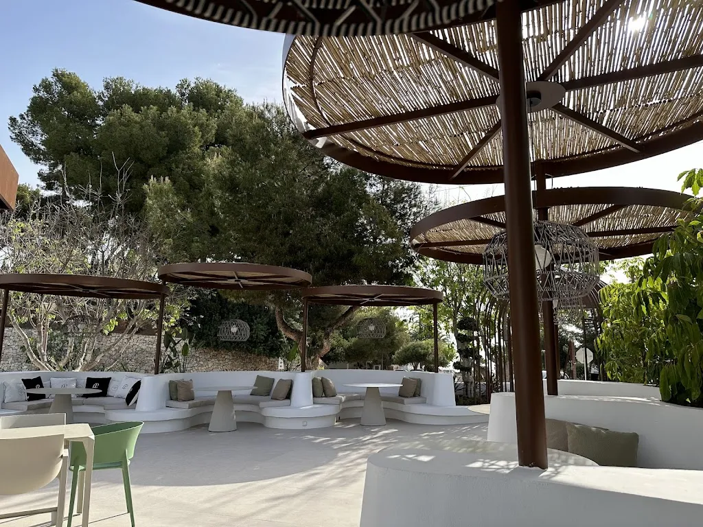 Elena Moye Johnston_El Rall_Benissa_review