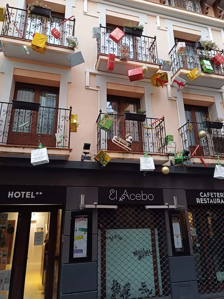 Sam T_Hotel El Acebo_Jaca_review
