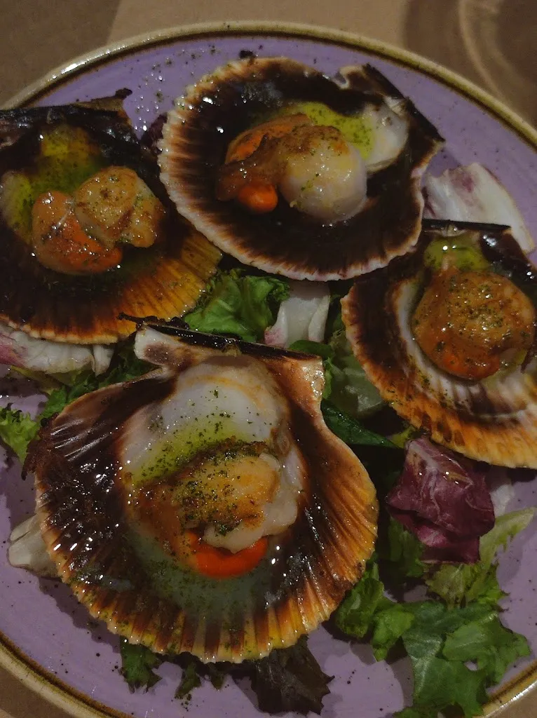 Menu_Bar El Buho_La Almunia de Doña Godina_immagine_9